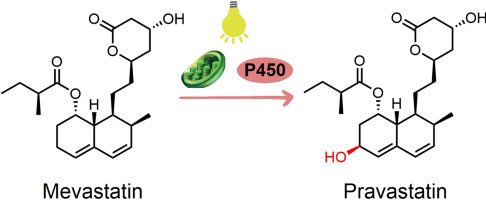 Light-driven enzymatic conversion of mevastatin into pravastatin by co... sciencedirect.com/science/articl…