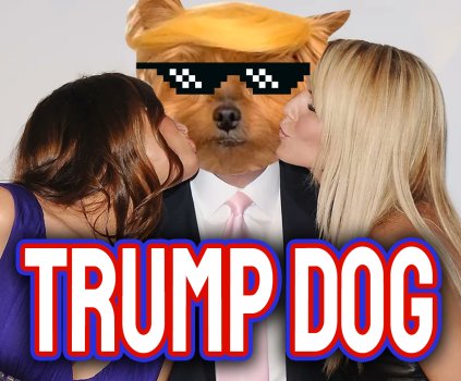 Be more like $TDOG.