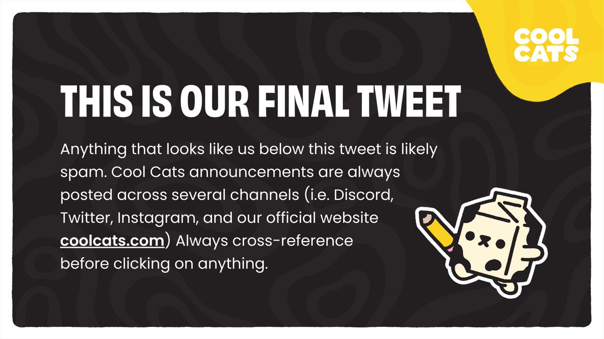 Cool Cats Connect tweet media