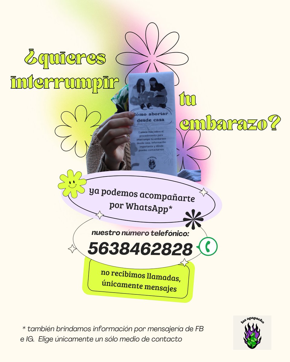 Colectiva Las Apapacho tweet media