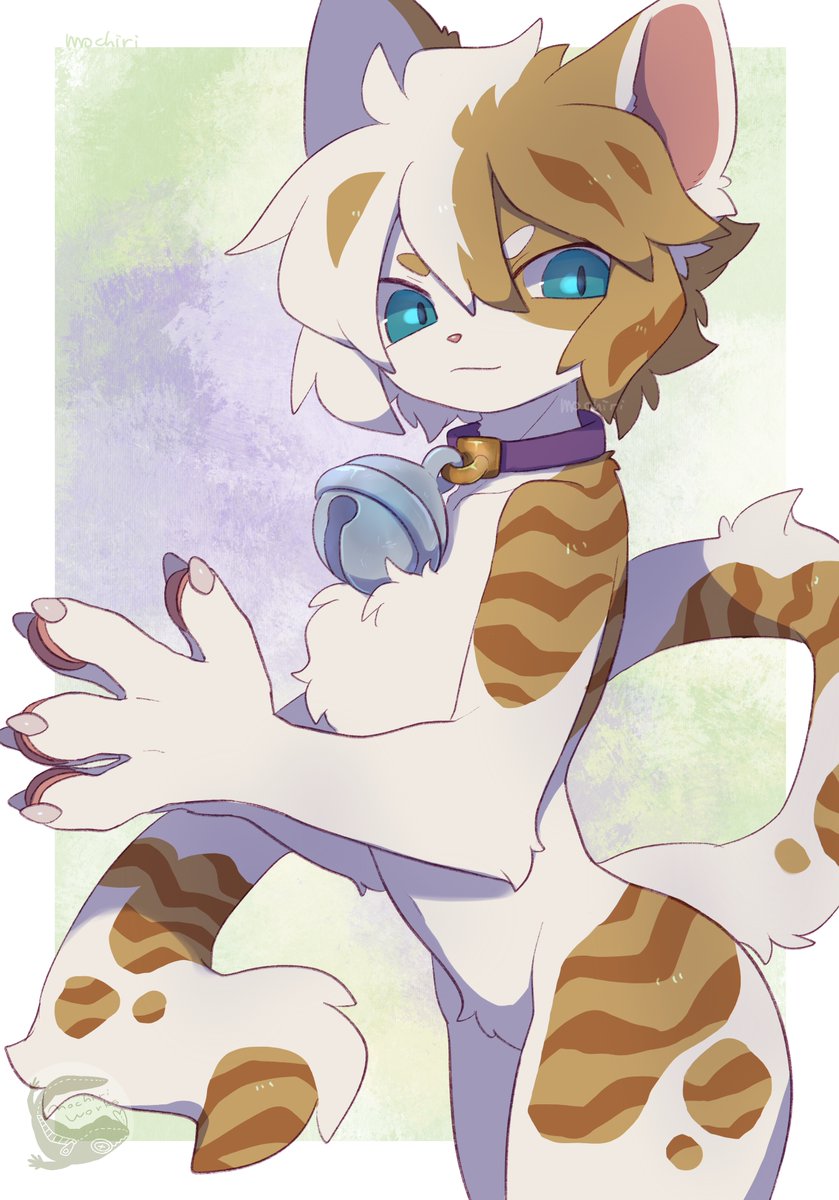 Post by mochiri on X: ねこちゃん