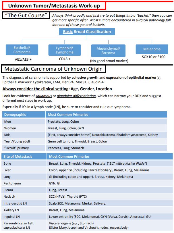 Kurt Schaberg tweet media