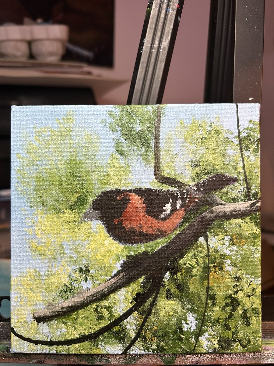 Like I don’t have enough works in progress. I had to start another one. This is #2 in my bird series. <a href="/followers/">はうはう</a> <a href="/topfans/">TopFan</a> #WorkInProgress #BirdPainting #grosbeak #JessicaKellerArt #fresnoartist