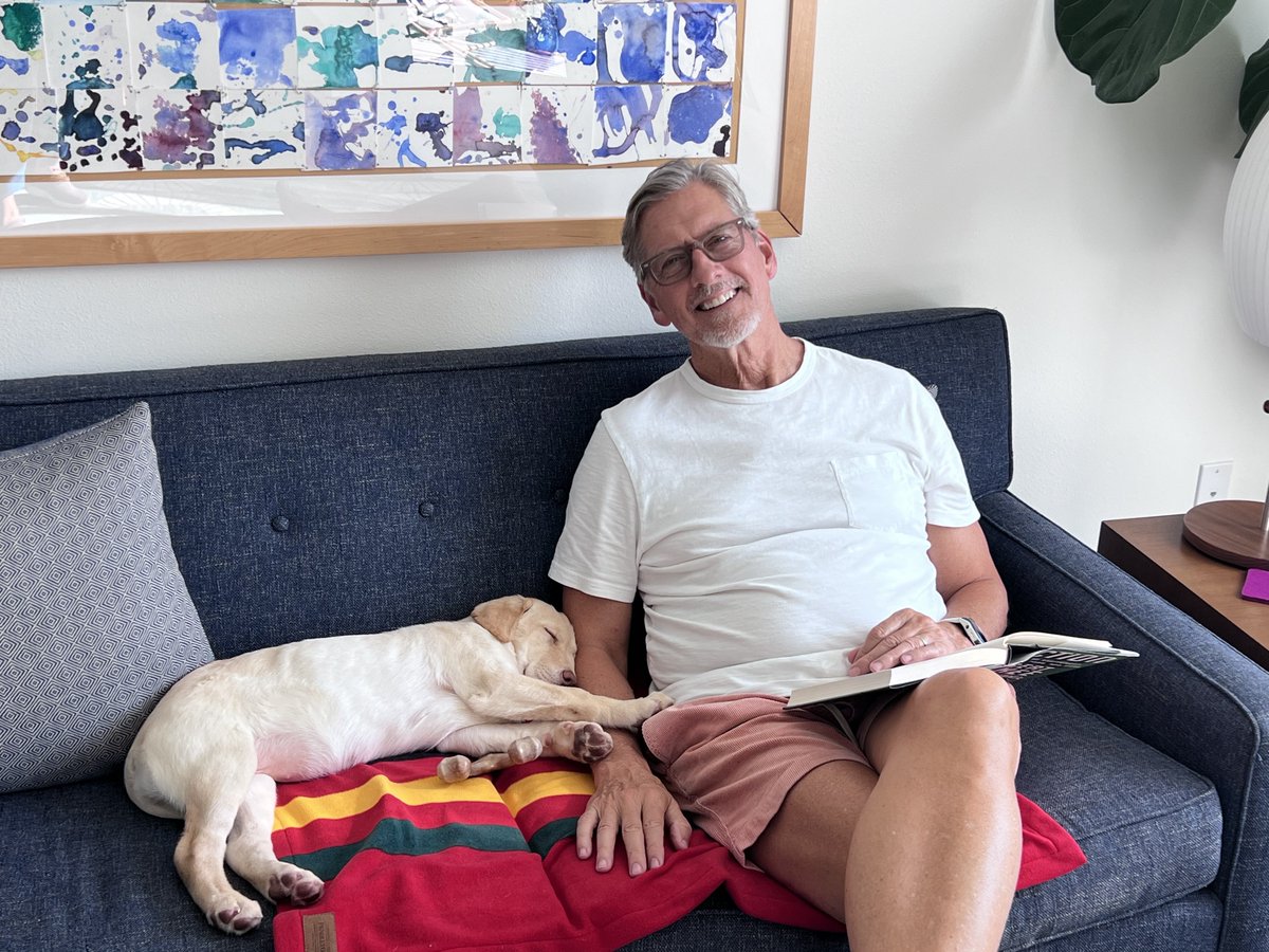 DaveTemple's tweet photo. Please welcome the new @TheThrillerZone Mascot: #Sunny aka #Sundance aka #SunnyDiego aka #Sunshine. Any way you call her, she’s pure joy. And yes, you’ll be seeing a LOT more of her in #Season7! Special Thanks to @TheTammyTemple for making a sweet home for all of us! https://t.co/j1dDMPXyAC
