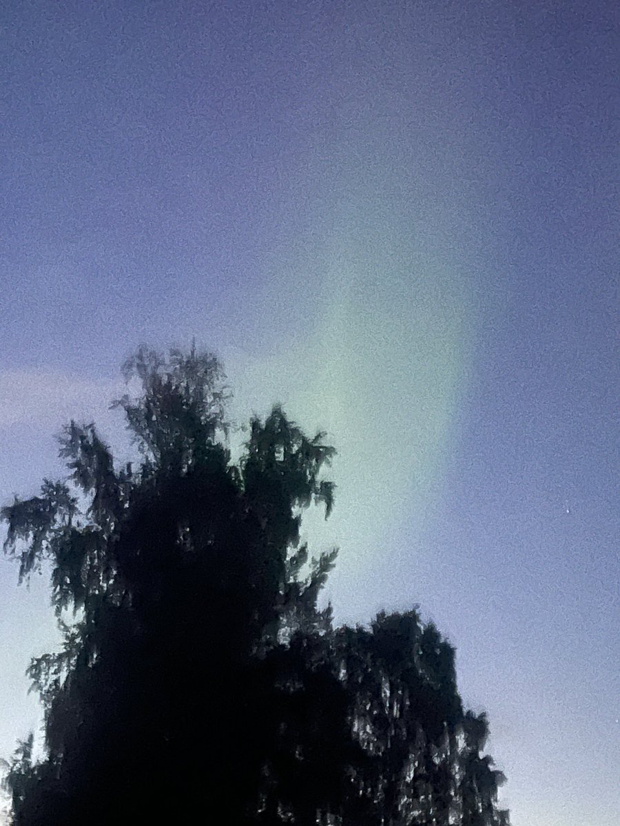 ite van dijken tweet media