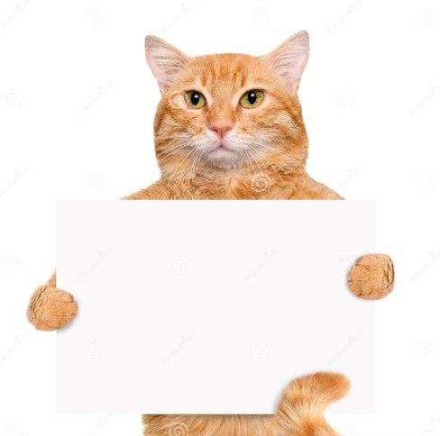 They need a $banner ! 👀

pump.fun/7Lj8o67tP3Hp4C…
#sol #Solana #pumpfun