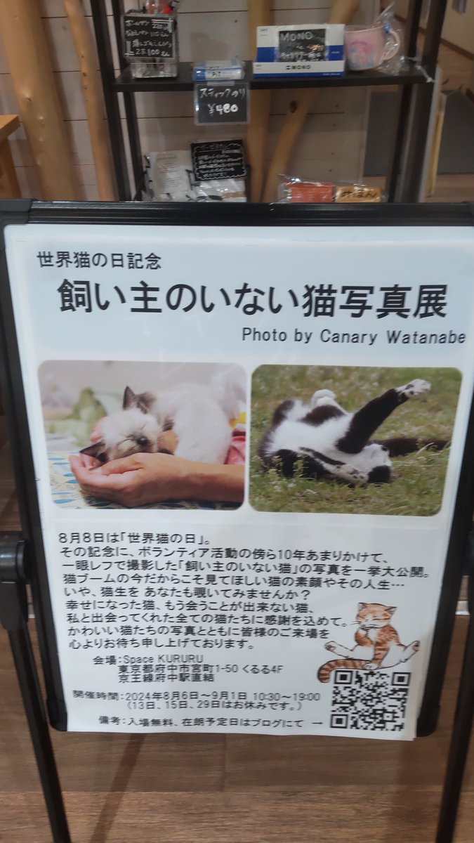 TokyoRo45060741's tweet photo. 昨日、地元で開催していた、小さな猫展に、足を向けて来ました。
個人の女性の活動で、飼い主のいない猫の写真展です。
切なさ、尊さ、理不尽さ。心に響く、写真展。 https://t.co/Gqrd7l0XMh