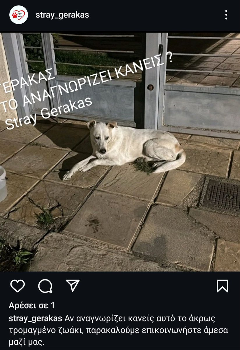Chrisafina1's tweet photo. #φωτιά #πυρκαγιά
 #Βρεθηκε στο Γέρακα. https://t.co/g9aFsSWuDj