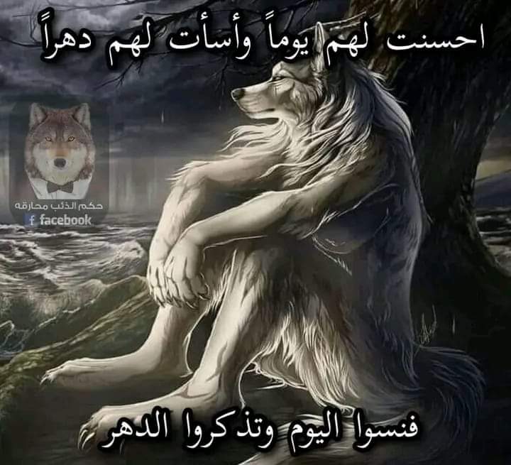 maher_elsaeed1's tweet photo. https://t.co/LBDGS6vKWa
