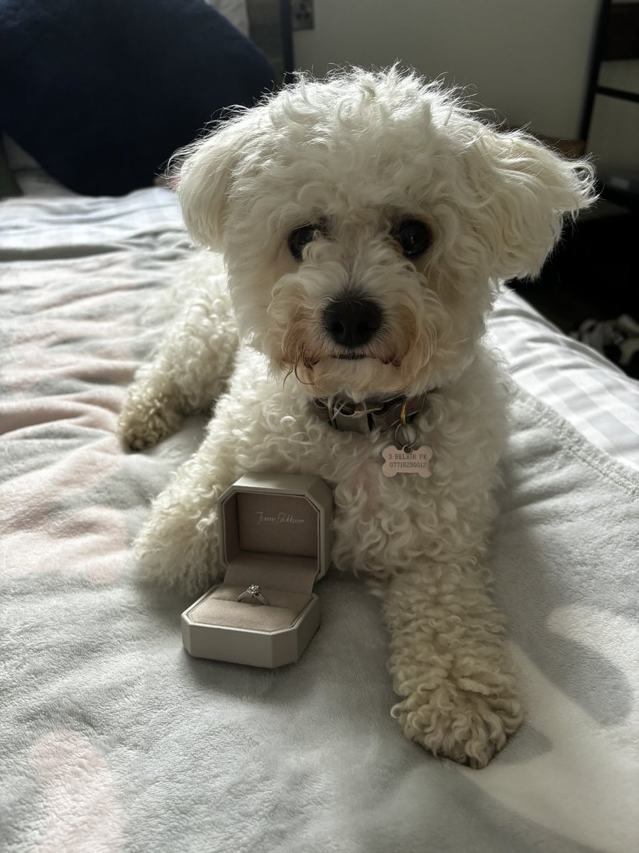 Andrew McCarroll tweet media