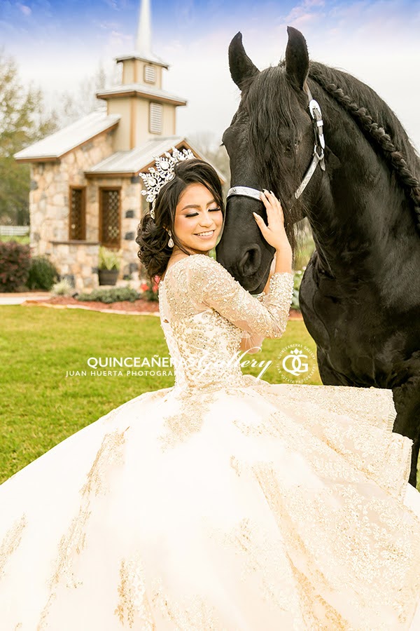 Fotografía Artística + Video Profesional para tus XV Houston Quinceañeras Gallery🔸️281-734-3753🔸️Best Texas Photography Service Quality. Packages, prices, precios (paquetes completos) #quinceañeras #quinceanera 
#quinceanerasgallery #houstonquinces #mis15 #houstonquinceanera