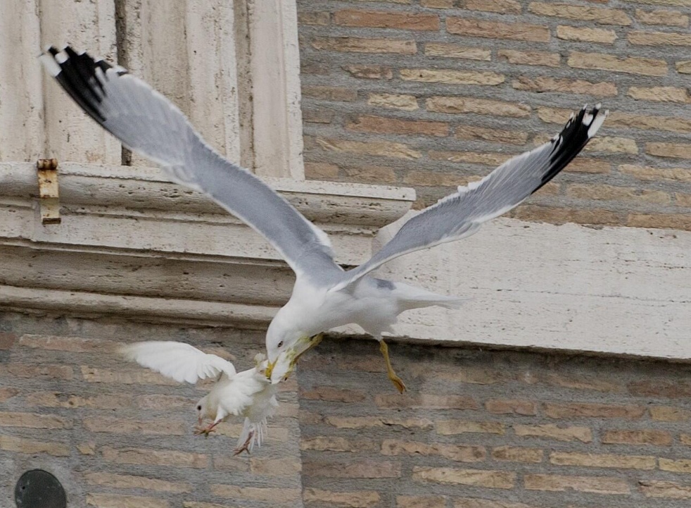 The most all time classic, of my life time;
Request submitted...
...request denied.