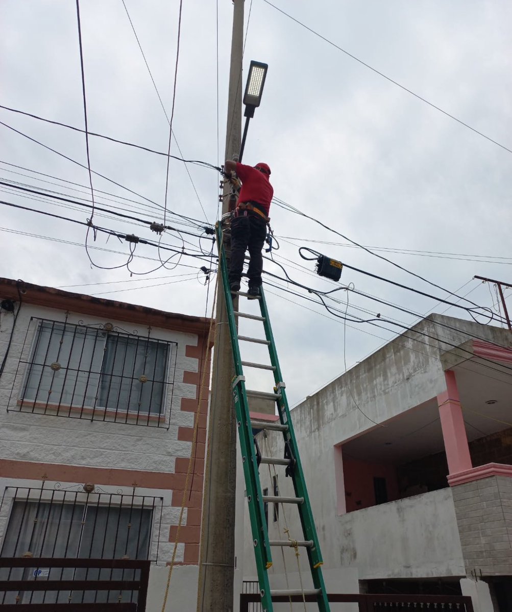 Secretaría de Servicios Públicos y Ecología tweet media
