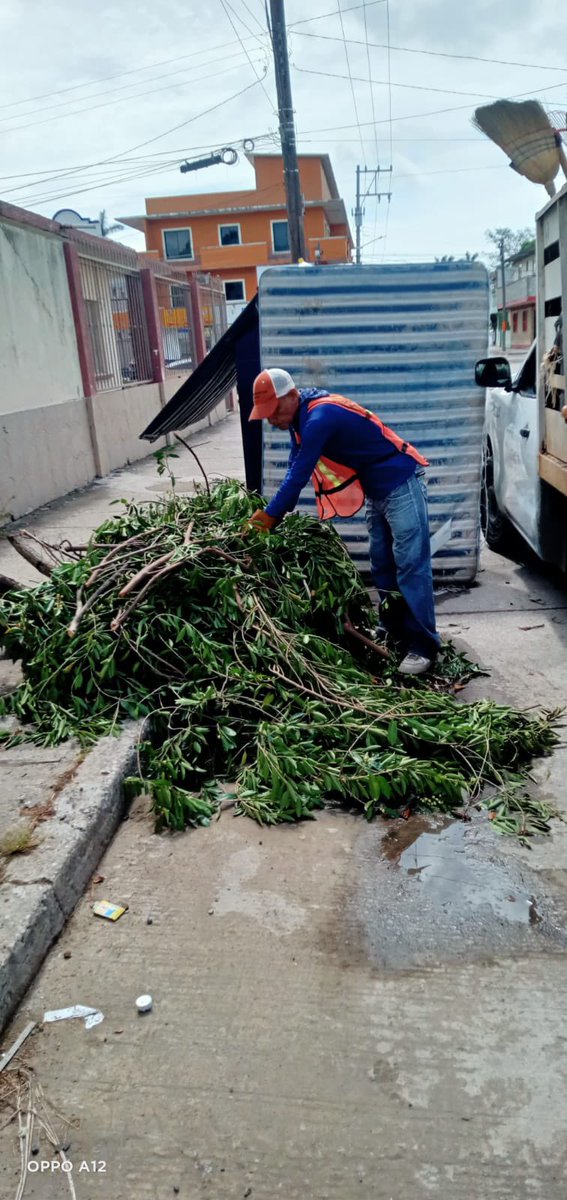 Secretaría de Servicios Públicos y Ecología tweet media