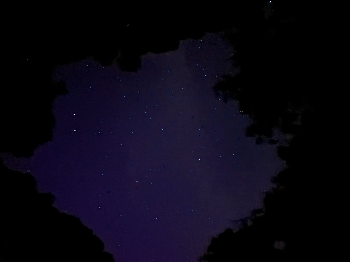 andyball24's tweet image. A few from our front garden tonight in North Northumberland #PerseidMeteorShower #northernlights #northumberland