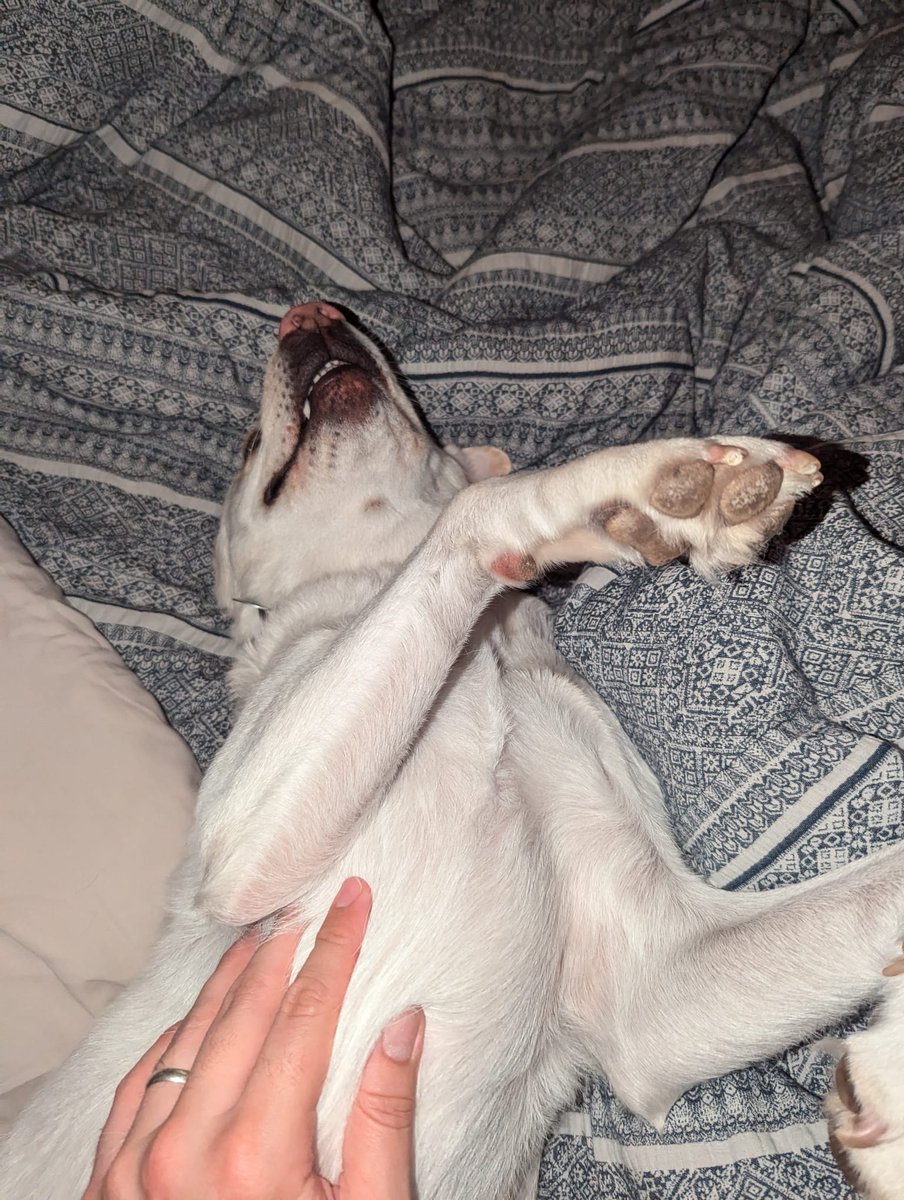 Sarah Trim-West tweet media