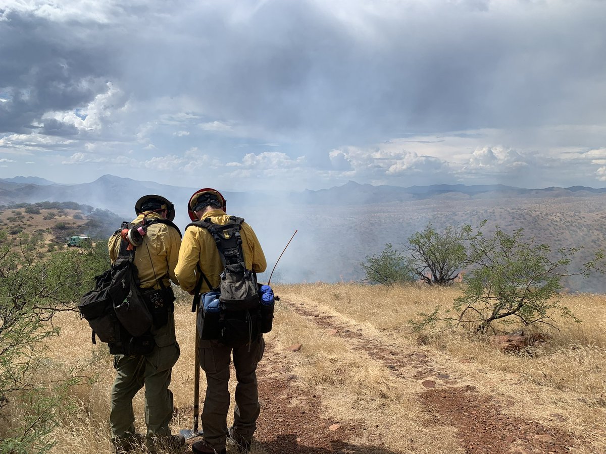 TontoForest's tweet image. Crews are responding to the #AshFire on the Globe RD 2 miles east of Wheatfields. The fire was reported at 2 p.m. &amp;amp; is approx. 30-50 acres, resources responding include 1 Type 3 eng &amp;amp; 1 Type 6 eng. The lightning-caused fire is burning in moderate conditions due to recent rainfall