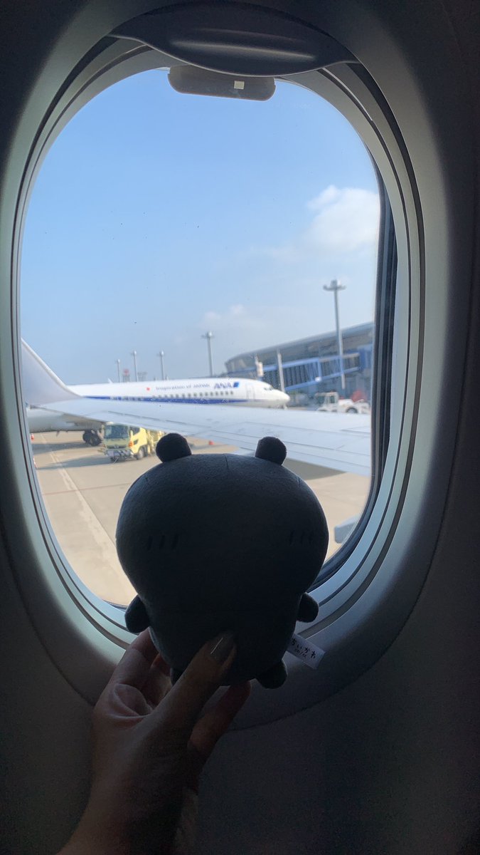 KakakaBte's tweet photo. モブちゃん
初飛行機✈️ https://t.co/7Yy5OYgi1S