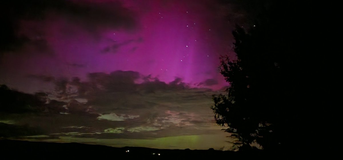 martin reilly tweet media