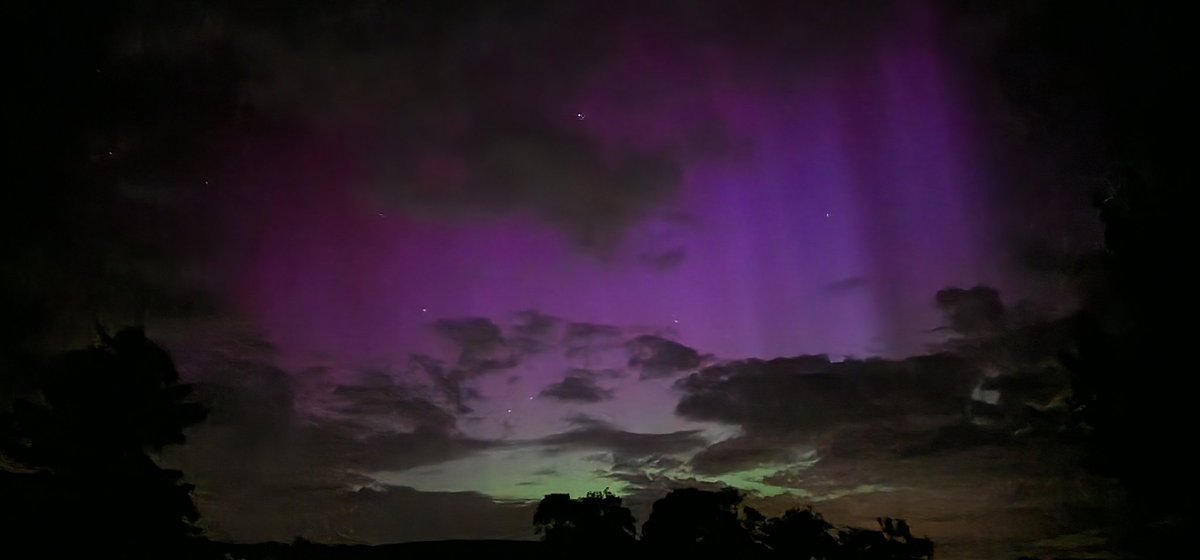 martin reilly tweet media