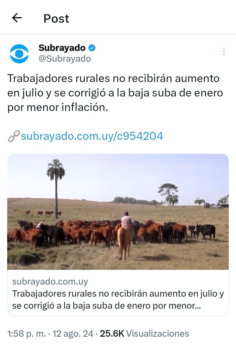 jjavierdeleon's tweet photo. La guita siempre en la Posada.
NUNCA en el bolsillo del peón.
.
Me saludan a @camboue https://t.co/ohp34rl6PG