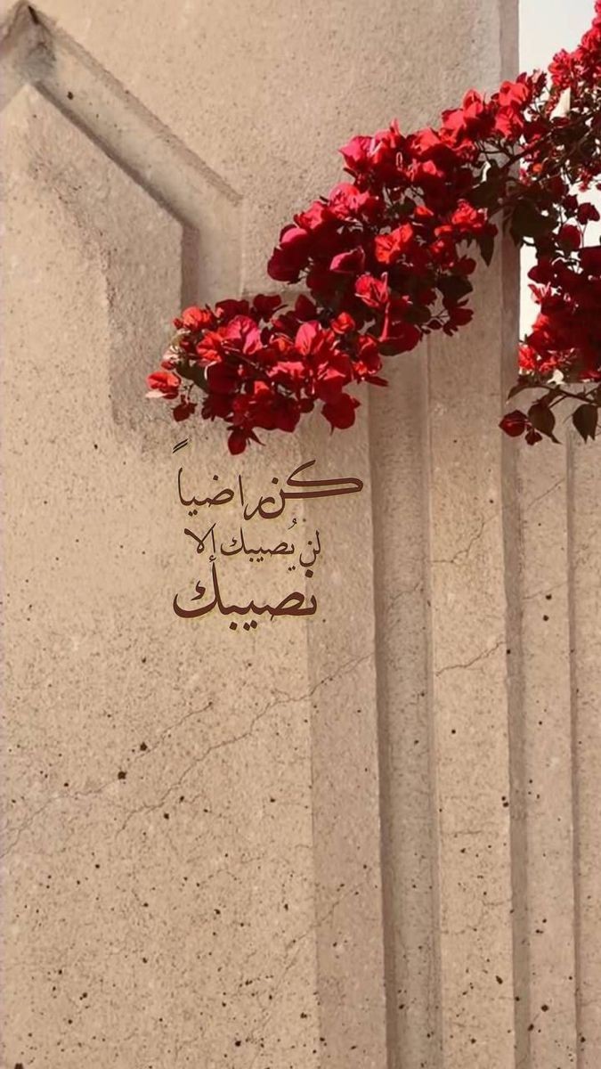 وَفِي السَّمَاء رِزْقُكُمْ وَمَا تُوعَدُونَ🤎.