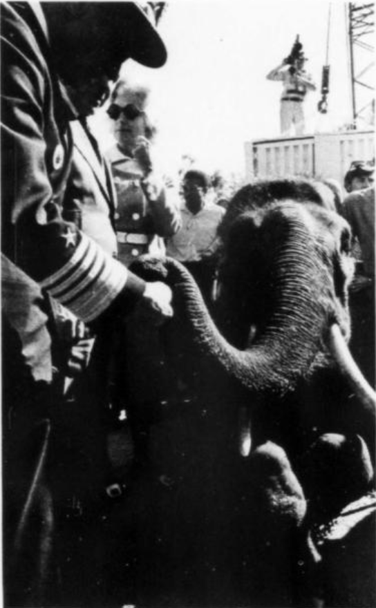 NavalInstitute's tweet photo. Happy World Elephant Day! While serving as CINCPAC in 1971, ADM John S. McCain Jr. was surprised to receive an elephant as a gift from the prime minister of Cambodia. The elephant had been captured from the Viet Cong who had used it to transport military supplies. Because the value of the gift exceeded $50, the "cincpachyderm" became the property (and logistical problem) of the U.S. government. Not wanting to insult Cambodia by declining the gift, the Pentagon formed McCain's Elephant Delivery Team (MEDT) to arrange for the one-ton animal to be flown to the Los Angeles Zoo by a USAF C-141 Starlifter. 
#WorldElephantDay