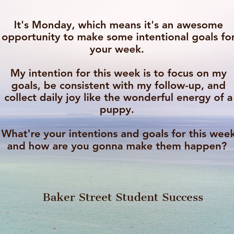 erinandelijah's tweet photo. It's Monday, which means it's an awesome opportunity to make some intentional goals for your week. 
My intention for this week is to focus on my goals, be consistent with my follow-up, and collect daily joy like the wonderful energy of a puppy. 
What about you? https://t.co/k0DWcvVuLi