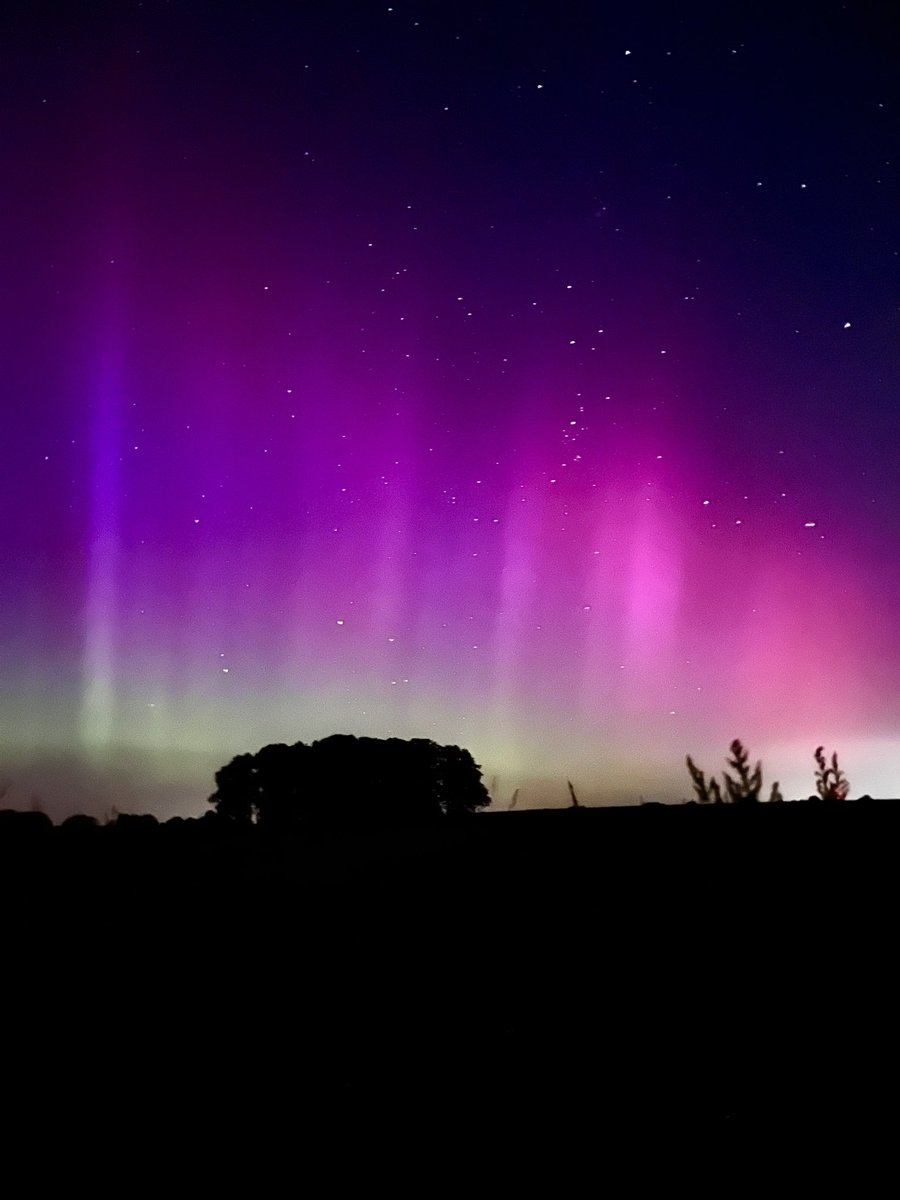 Ruslanhbr tweet media