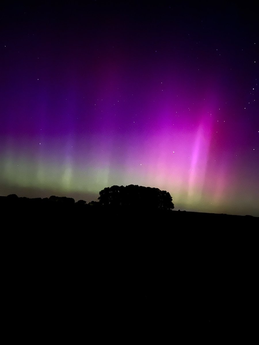 Ruslanhbr tweet media