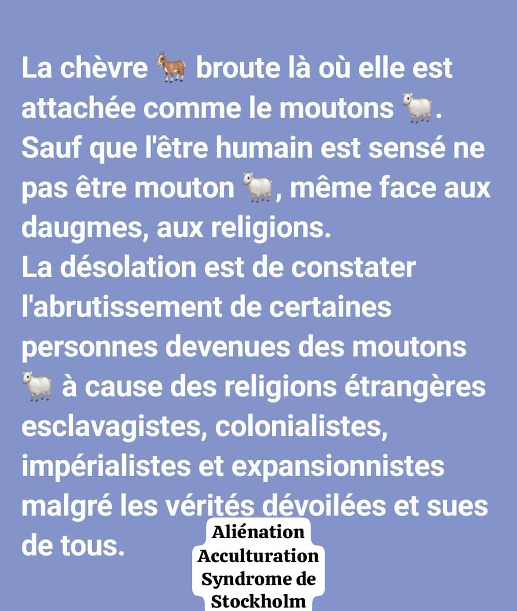 dcfrenchloos's tweet photo. @CheickIbtidiani @GoitaAssimi @SonkoOfficiel @SonkoOfficiel
Nous te reprochons ceci
"Sonko au pouvoir dès la première semaine, le Sénégal enverra un contingent de l'armée sénégalaise au Mali pour accompagner l'armée malienne dans la lutte contre le terrorisme".
Où en es-tu aujourd'hui @SonkoOfficiel
@PR_Diomaye
@GoitaAssimi https://t.co/PUMrnfIbMU