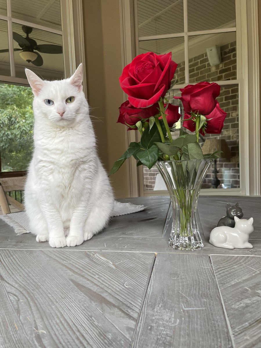 Kirk Smith tweet media