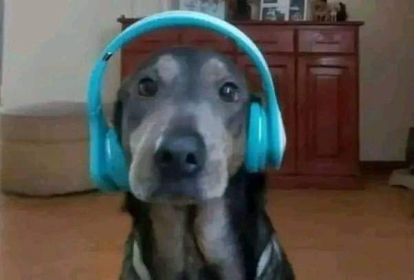 Micael678909's tweet photo. Tô feliz por você estar seguindo bem a vida! https://t.co/ugtSkPKT1H