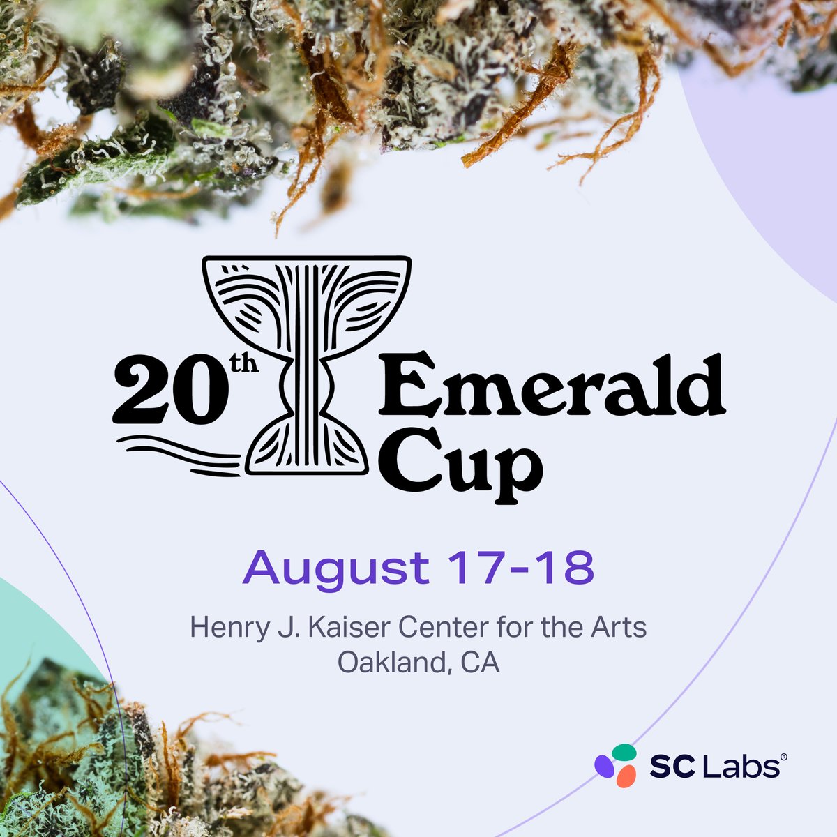 sclabs_us's tweet photo. Get your Emerald Cup tickets! Join us Aug 17-18, at the newly renovated Henry J. Kaiser Center in Oakland, CA. We’re excited to share the results and insights of the products shaping the future.
https://t.co/02EW2lVyBx
#EmeraldCup2024 #CannabisCommunity #SCLabs https://t.co/gZmL3xJDbH