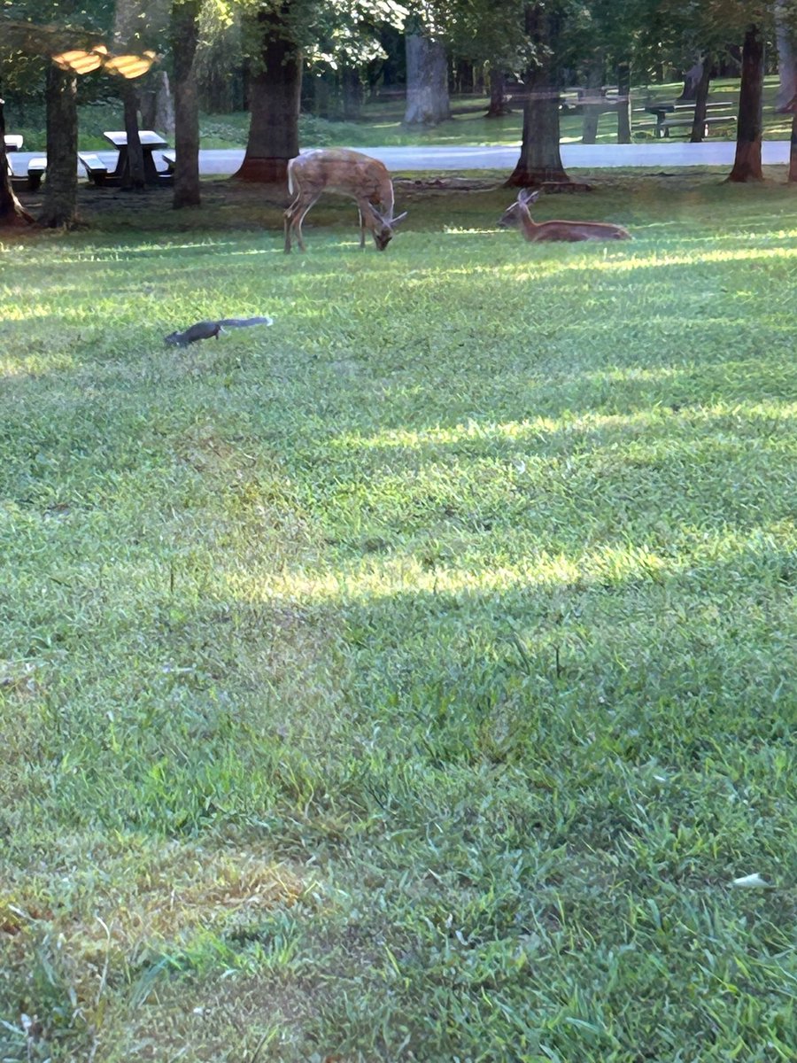 Rodney Crouse 🏳️‍🌈 tweet media