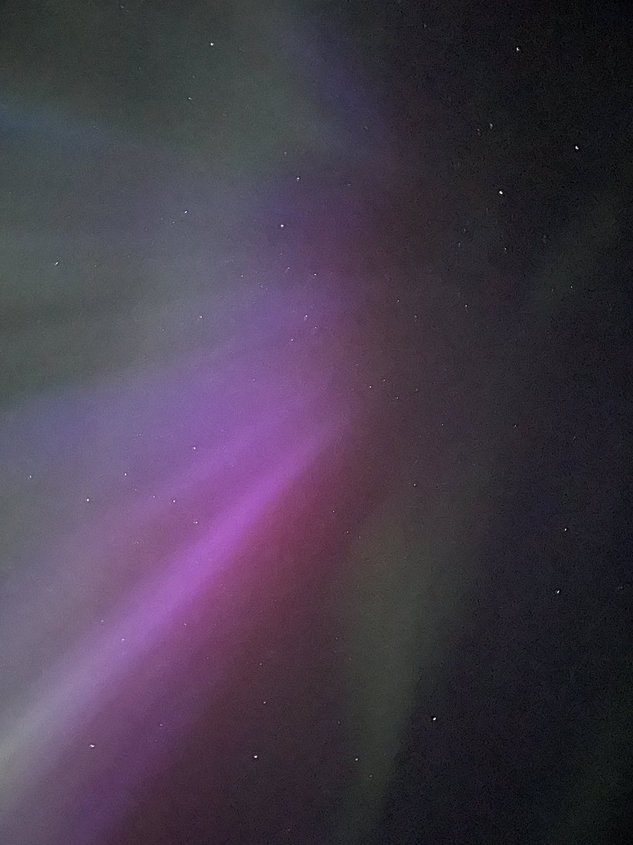 I only popped outside to see Perseids! 

#perseid #aurora #Auroraborealis #northernlights #midlatitudeaurora 
#Åland 🇦🇽💫