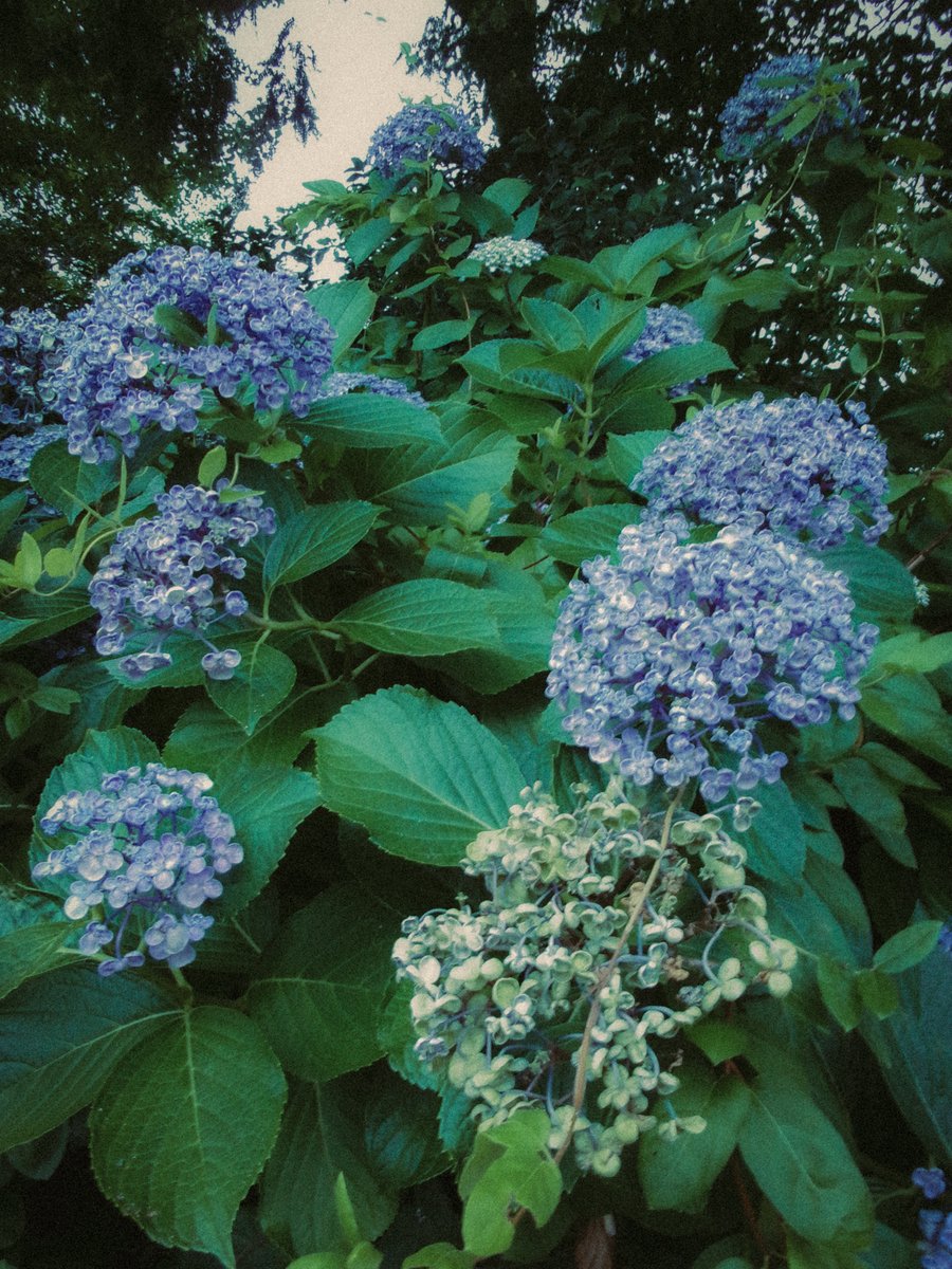 tetuyaokada532's tweet image. 