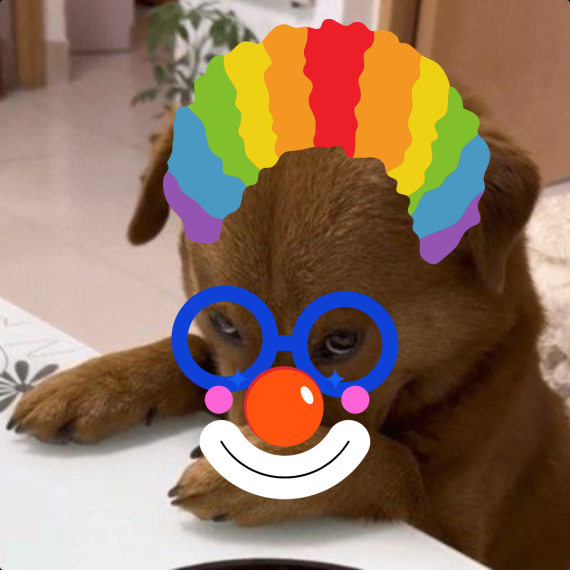 <a href="/CaesarsCalls/">David Grokenshtein</a> It is all bullshit Emperor Ape

First, God mad Dog. 
And supreme amongs all dogs were $TUCK. 
God then saw that man had taken over the world, and the world was now filled with sin. 
So God called forth a messiah of the Smoking Chicken Fish Church and said "Build thy a community