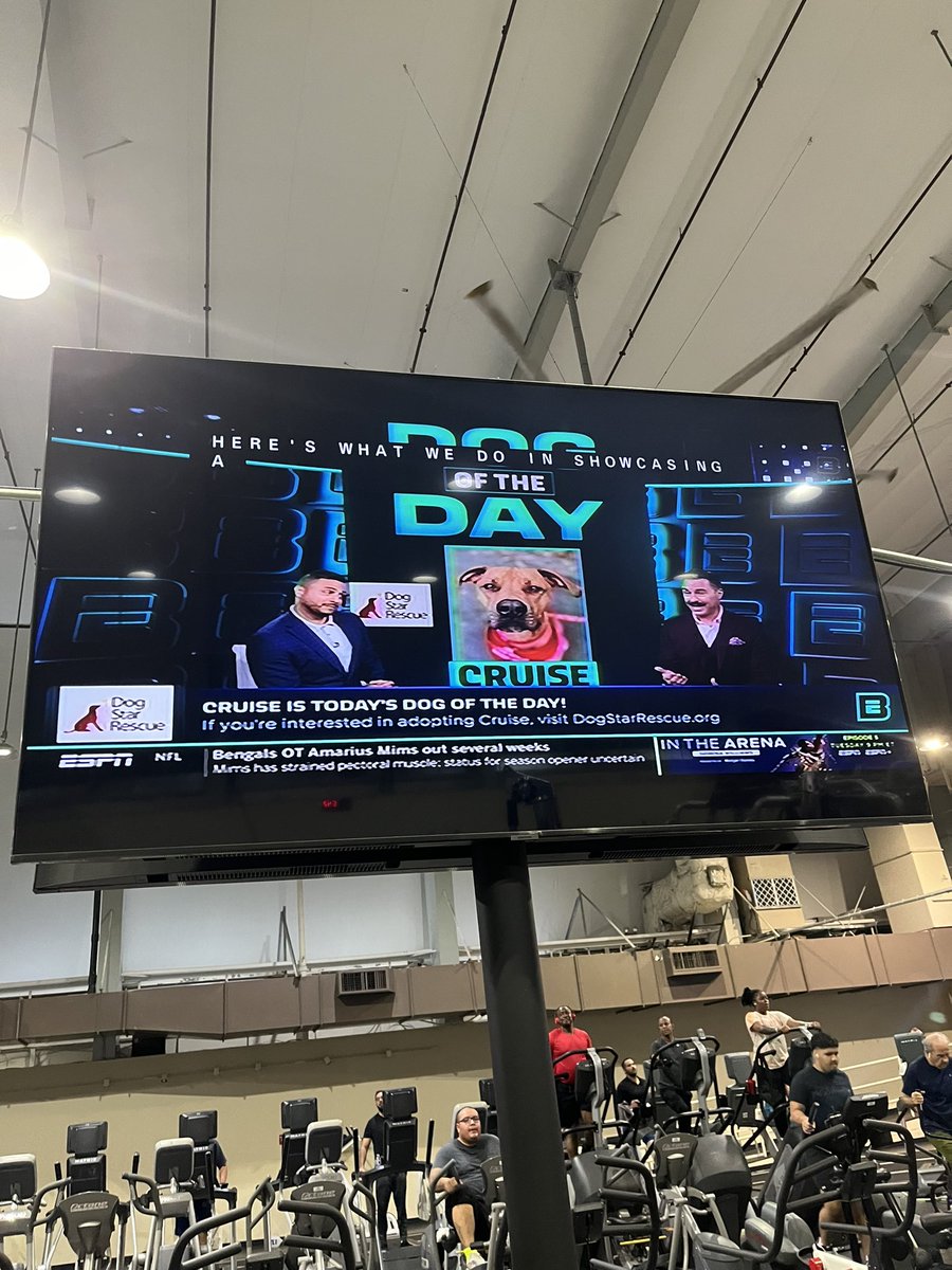 We need football back badly