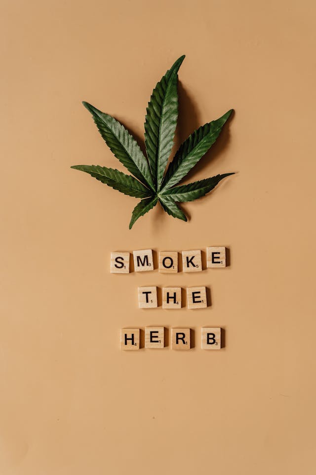 MMPconnect's tweet image. Recreational Marijuana Vote in North Dakota’s November Ballot. In a move that could significantly impact the future of cannabis legislation #legalization #cannabiscommunity #recteationalmarijuana medicalmarijuanapages.com/recreational-m…