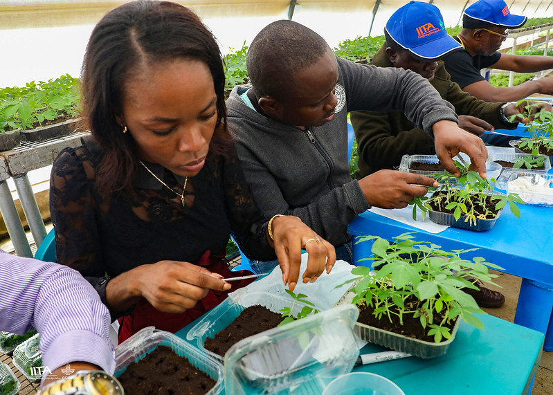 Taat_Africa's tweet photo. #Youth are Africa’s greatest assets for its agricultural transformation and growth. @TAAT_Africa celebrates all youth today as we invite them to #ClickToProgress! - @eyunati #FeedAfrica @Afdb_Group @akin_adesina @CGIAR https://t.co/Ysy8yYe6Z1