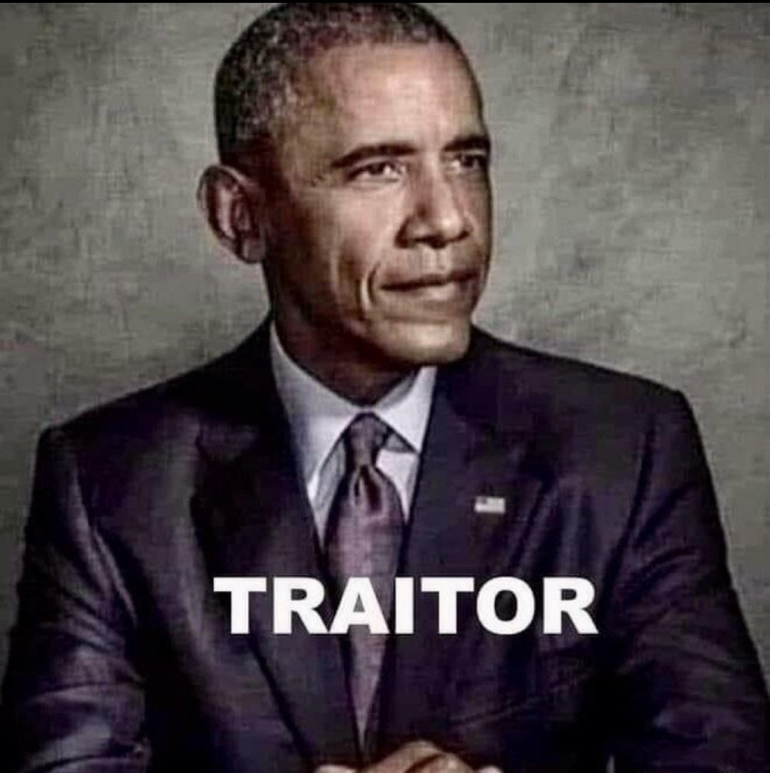 WakeUpPatriott's tweet image. Do you agree that Barack Obama is a traitor to America?
A. YES
B. NO