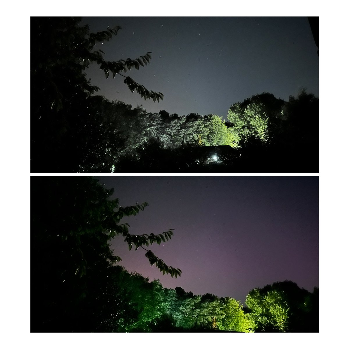 The faint pinkish Aurora from tonight here in Colchester. Bottom photo taken at 23:30 top photo taken at 23:55. A few Perseids also seen.