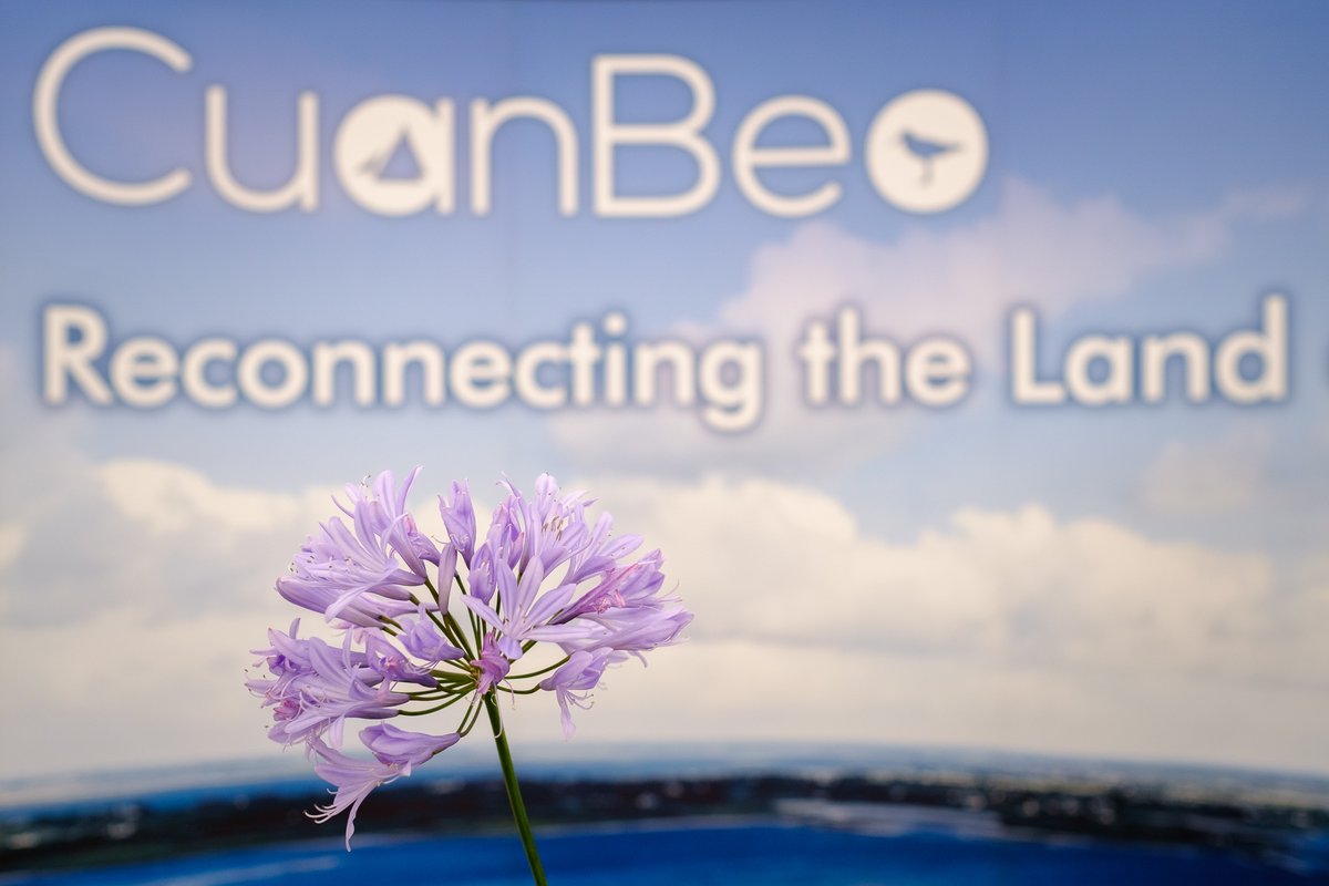 🔔Please share &amp; repost!🔔

Calling all Galway/Clare environmental groups!! 

Cuan Beo is hosting an exciting Environmental Groups Forum at <a href="/GalwayHookers/">Cruinniú na mBád</a>  this Saturday!

📅14:30, Saturday August 17th
📌Cuan Beo Marquee, Kinvara Quay

See programme, FB, and Instagram for details