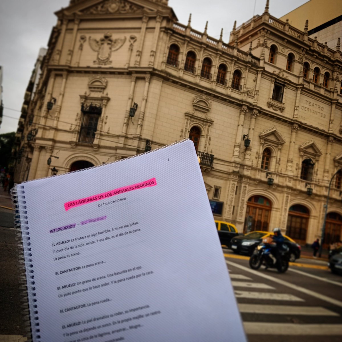 Comenzamos oficialmente los ensayos de...

🌊 "LAS LÁGRIMAS DE LOS ANIMALES MARINOS"
Escrita y dirigida por Toto Castiñeiras
<a href="/totocastineiras/">Toto</a>

En el bellísimo Teatro Nacional Cervantes 
<a href="/tncervantes/">Teatro Nacional Cervantes</a>

✔️ Con un gran elenco y equipe maravilloso!

⭐️ ESTRENO OCTUBRE 2024 ⭐️