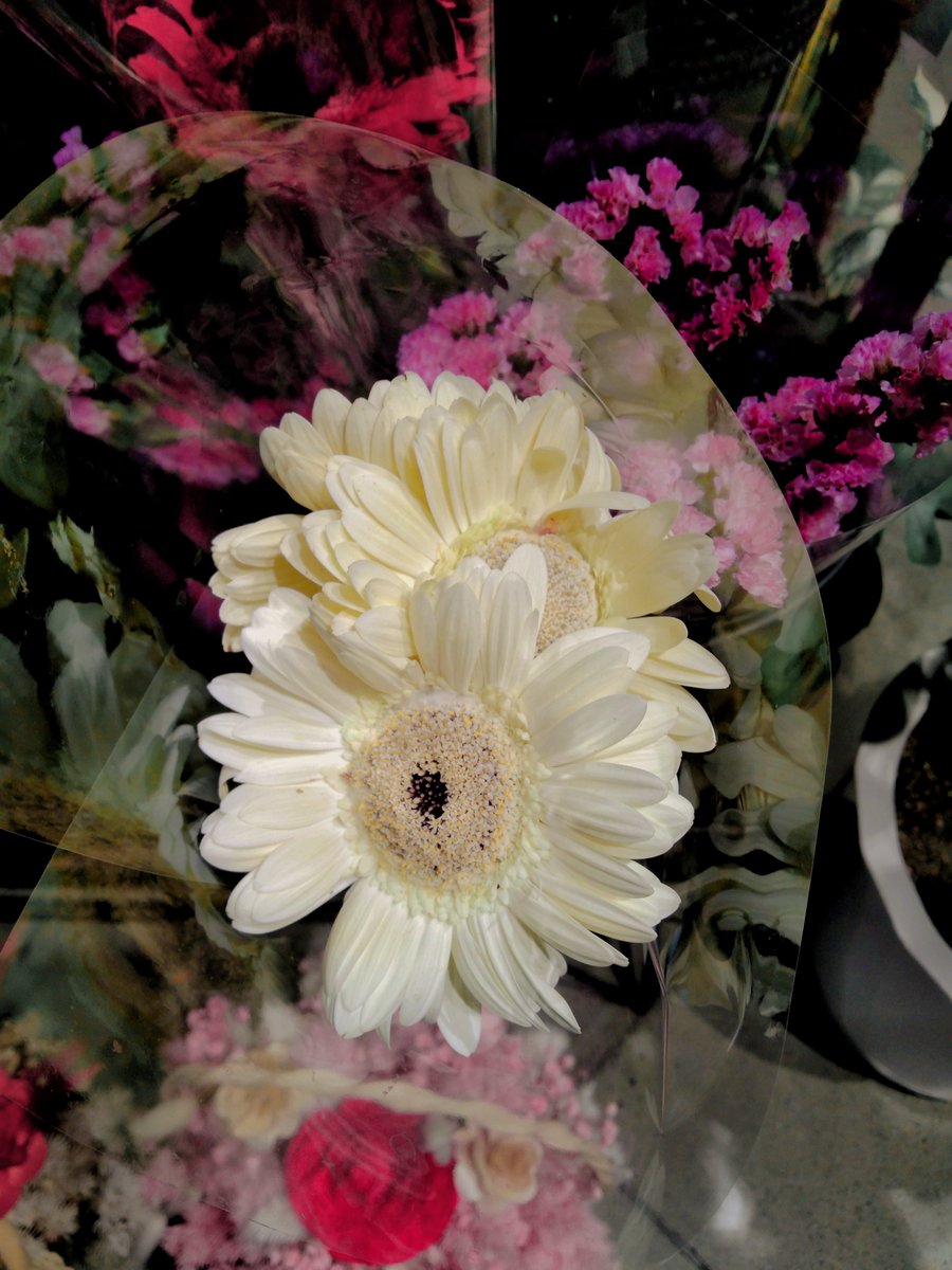 i2log's tweet image. lately