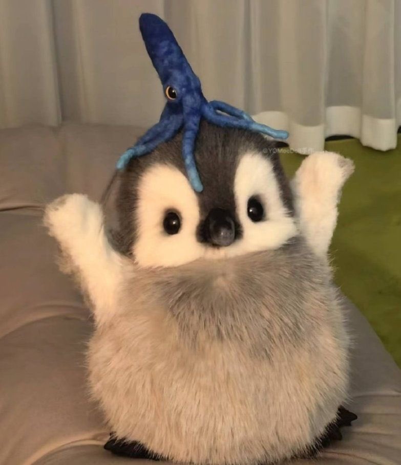 twaniimals's tweet photo. 🐧 https://t.co/WHjfBmauOB
