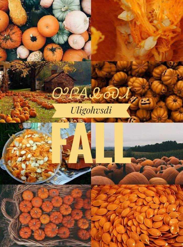 Almost fall!  🍂