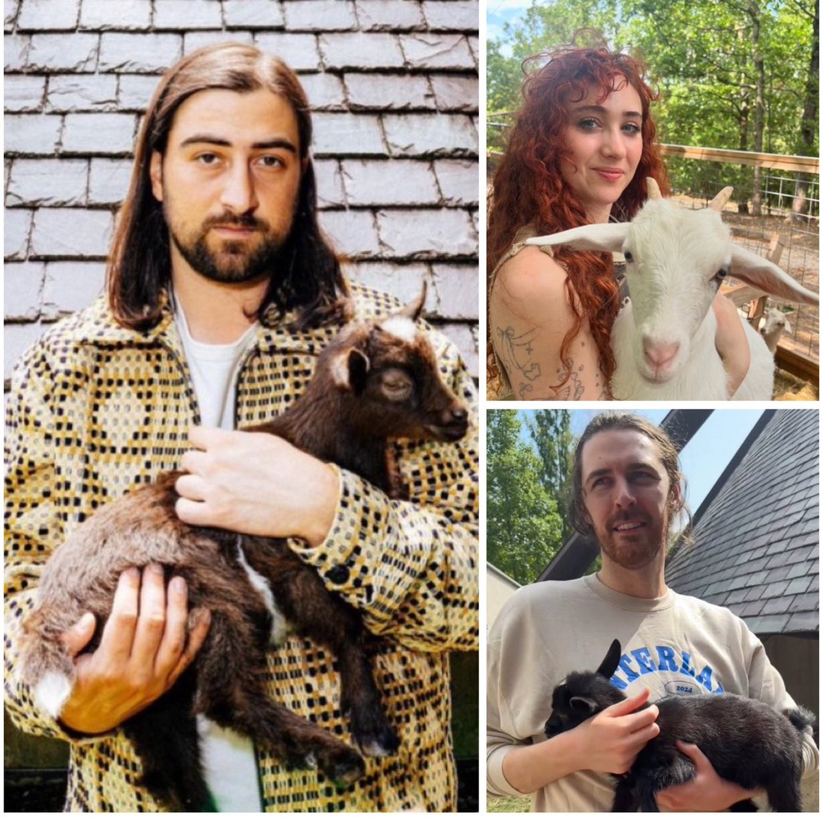 KahanArchive's tweet photo. We now have pictures of Noah Kahan, Chappell Roan, and Hozier holding goats. BIG day for the depressed gays https://t.co/O0ERJyTiRT