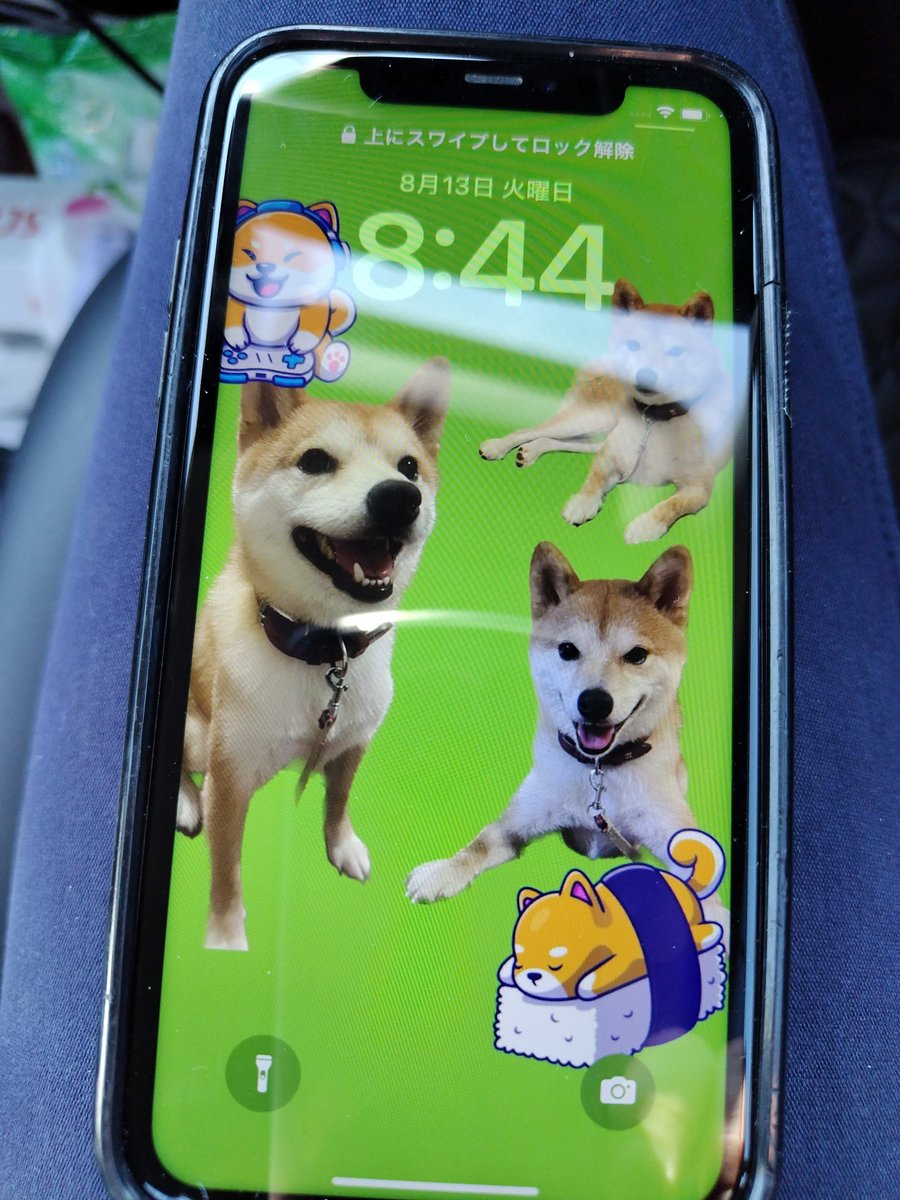 本日逃げ出したわんこはこちら。
無事捕獲済
#柴犬